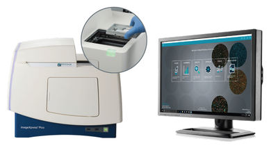 ImageXpress Pico 自动化细胞成像分析系统
